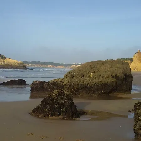 Os Ricardinhos Praia Da Rocha