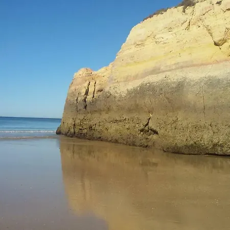 Os Ricardinhos Praia Da Rocha Portimão